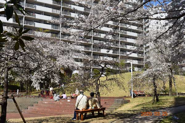 2020年春13